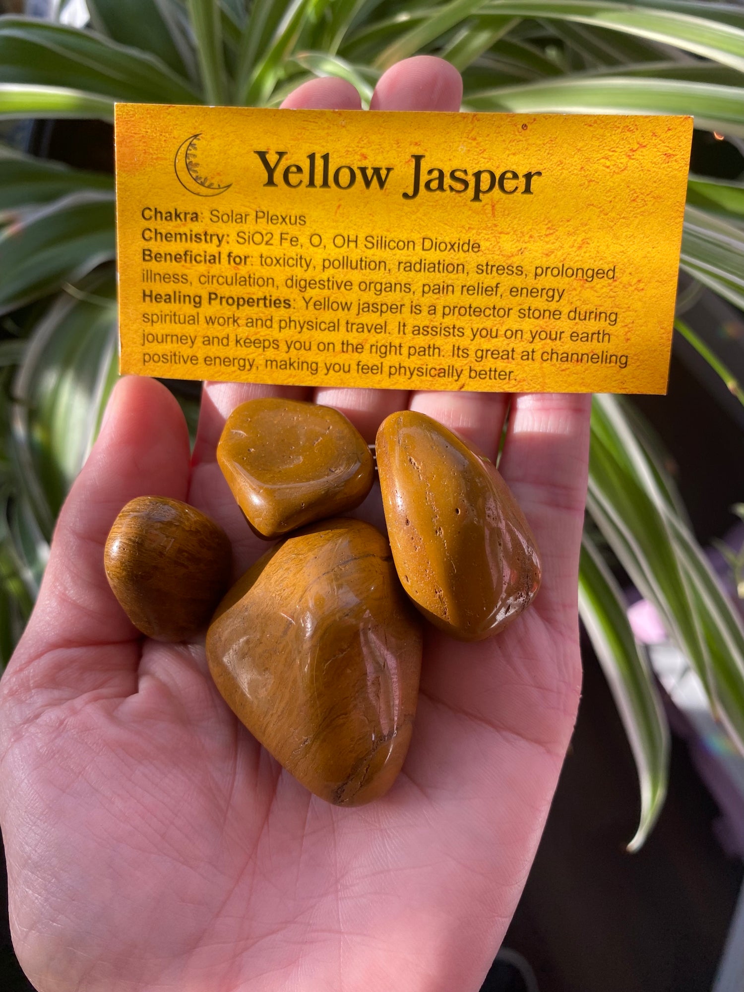 Yellow Jasper Tumbled - Moon Room Shop and Wellness