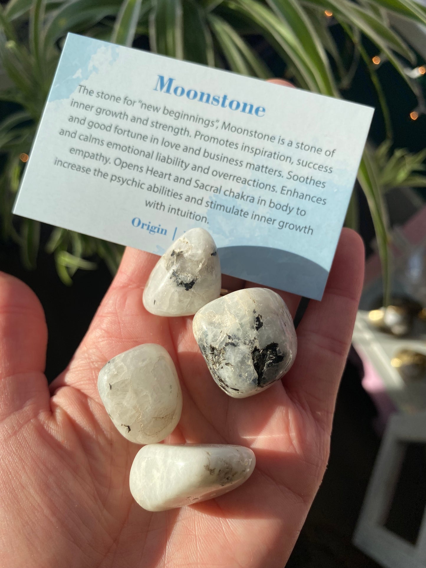 Rainbow Moonstone Tumbled - Moon Room Shop and Wellness