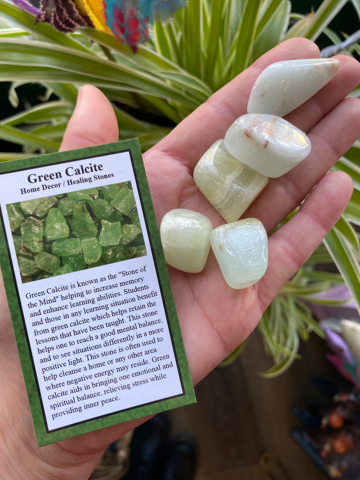 Green Calcite Tumbled - Moon Room Shop and Wellness
