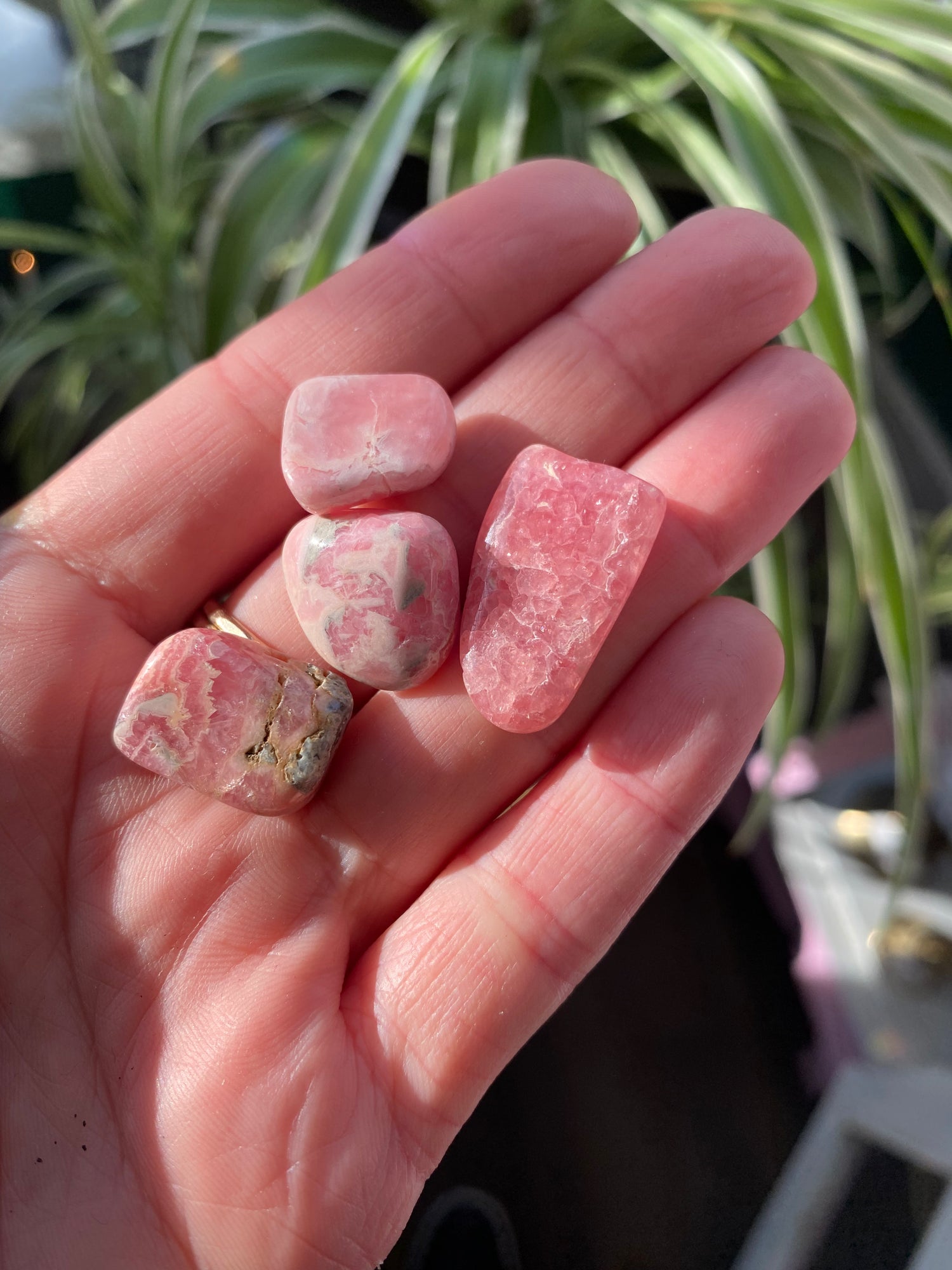 Rhodochrosite Tumbled- Small - Moon Room Shop and Wellness