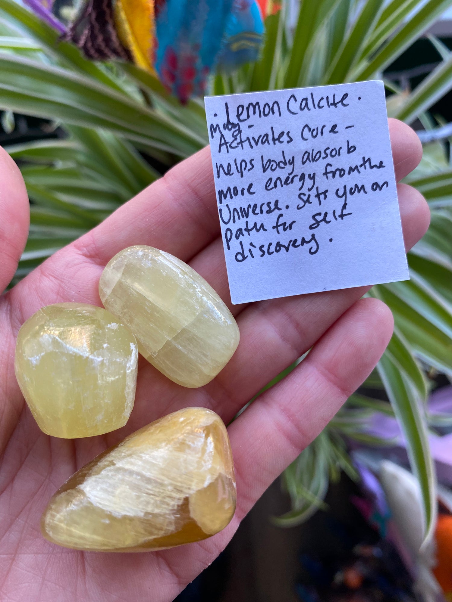 Lemon Calcite Tumbled - Moon Room Shop and Wellness