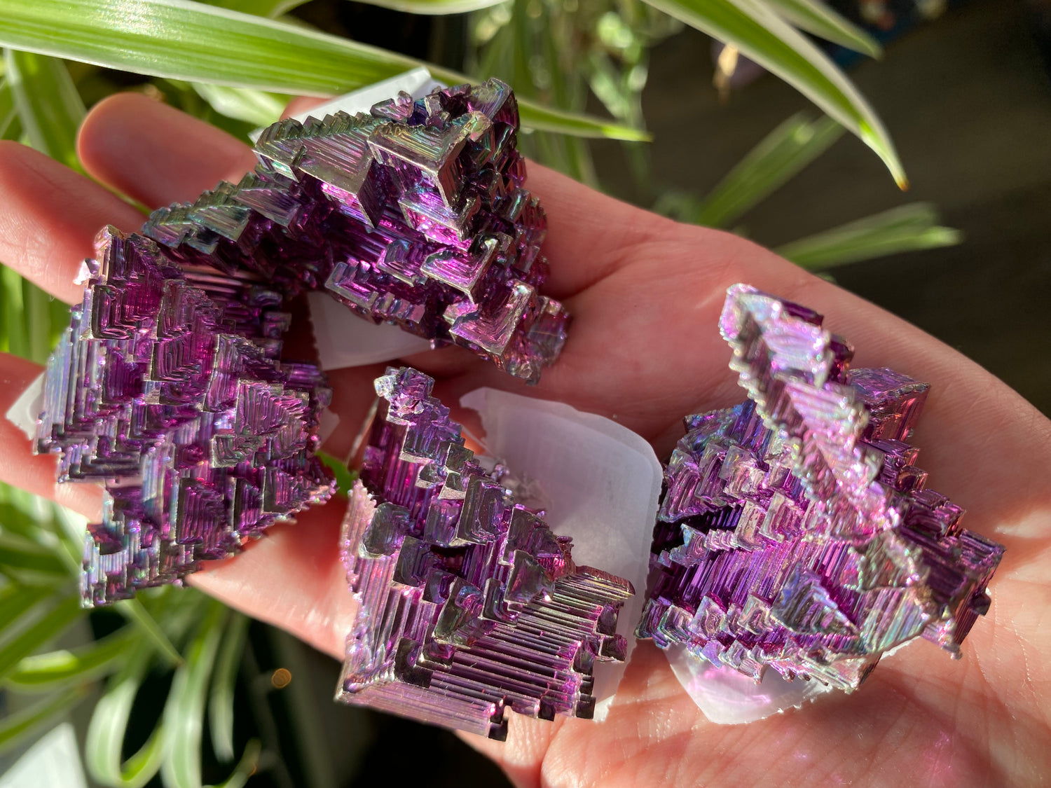 pink Bismuth - Moon Room Shop and Wellness