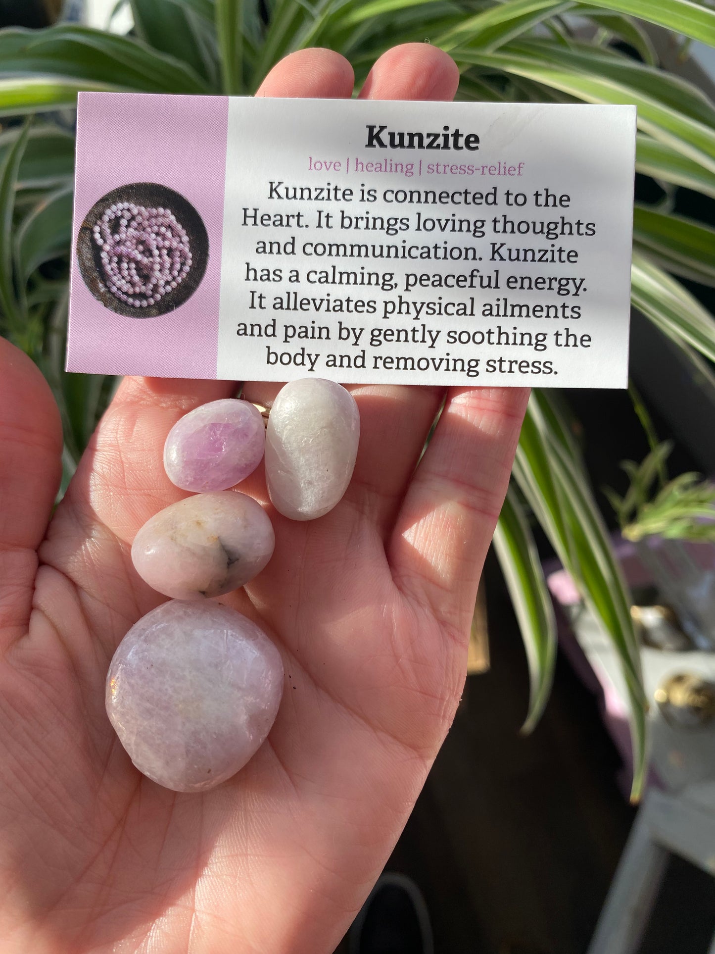 Kunzite Tumbled - Moon Room Shop and Wellness