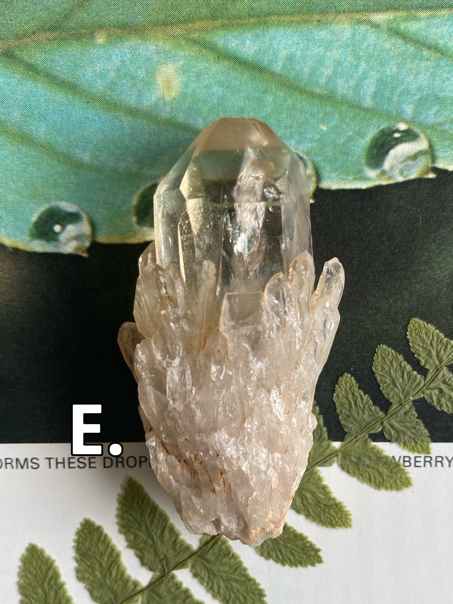 Kundalini Citrine•Natural Citrine - Moon Room Shop and Wellness