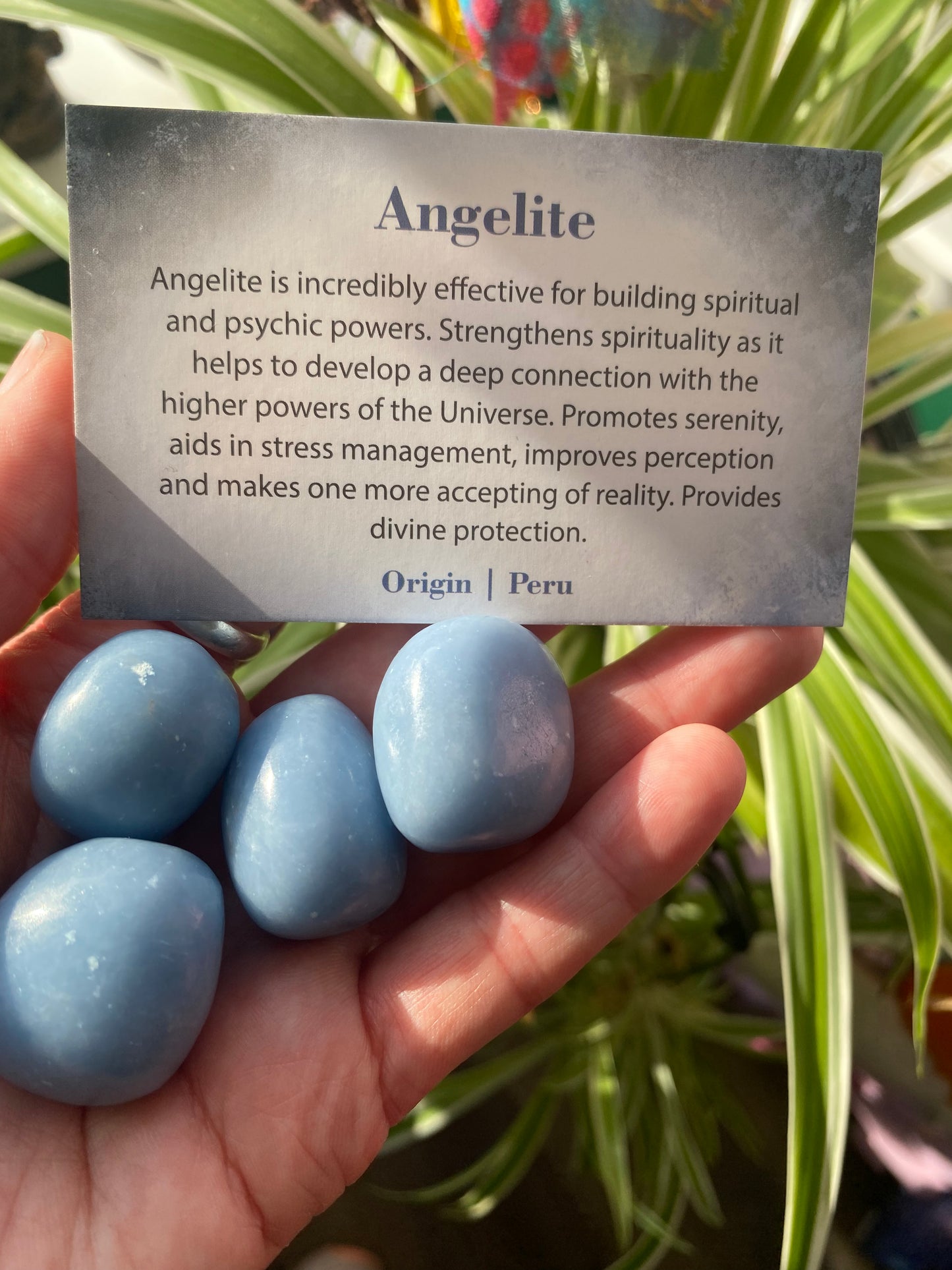 Angelite Tumbled Stone - Moon Room Shop and Wellness