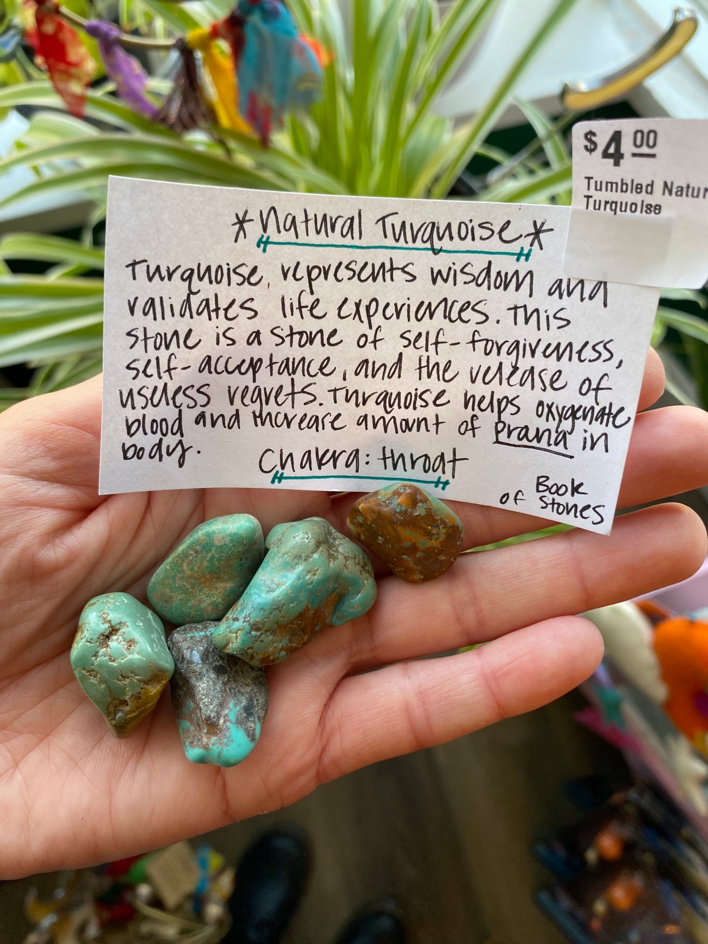 Tumbled Natural Turquoise - Moon Room Shop and Wellness