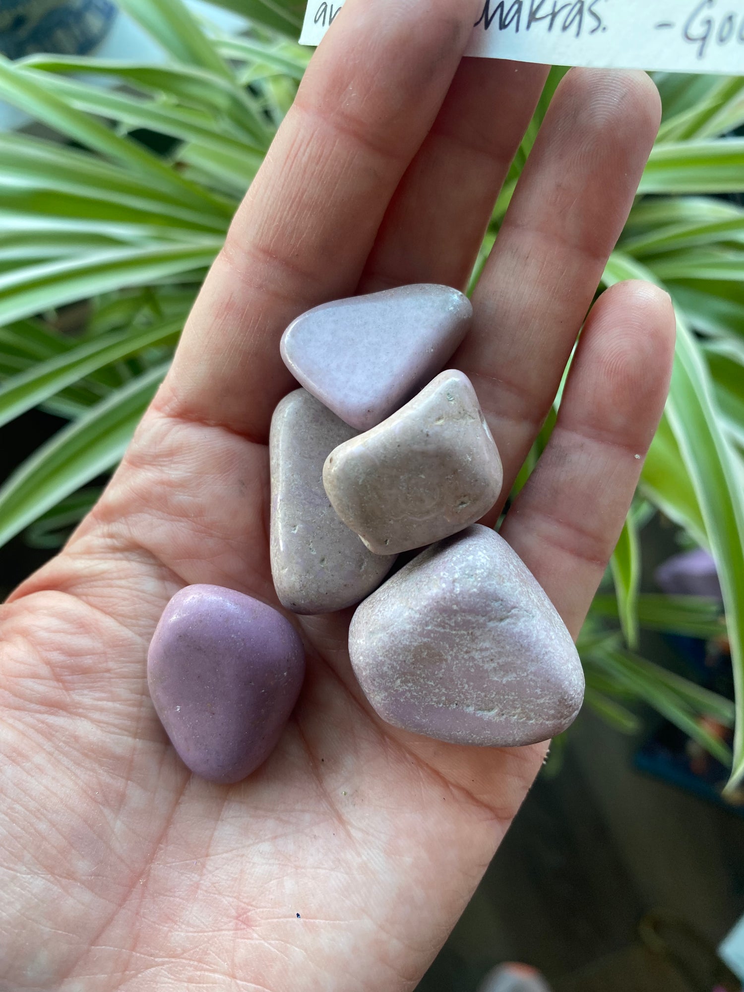 Phosphosiderite Tumble - Moon Room Shop and Wellness