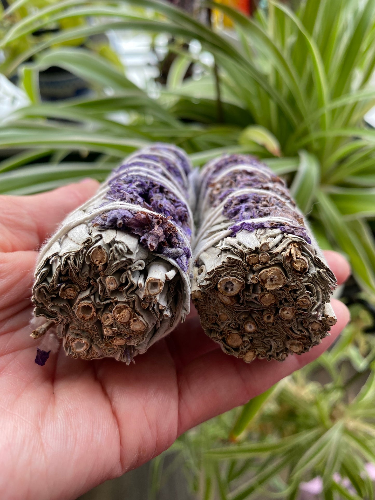 Lavender and White Sage Smudge - Moon Room Shop and Wellness