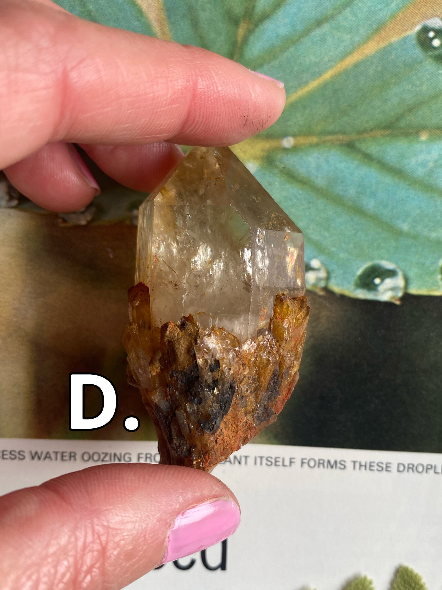 Kundalini Citrine•Natural Citrine - Moon Room Shop and Wellness