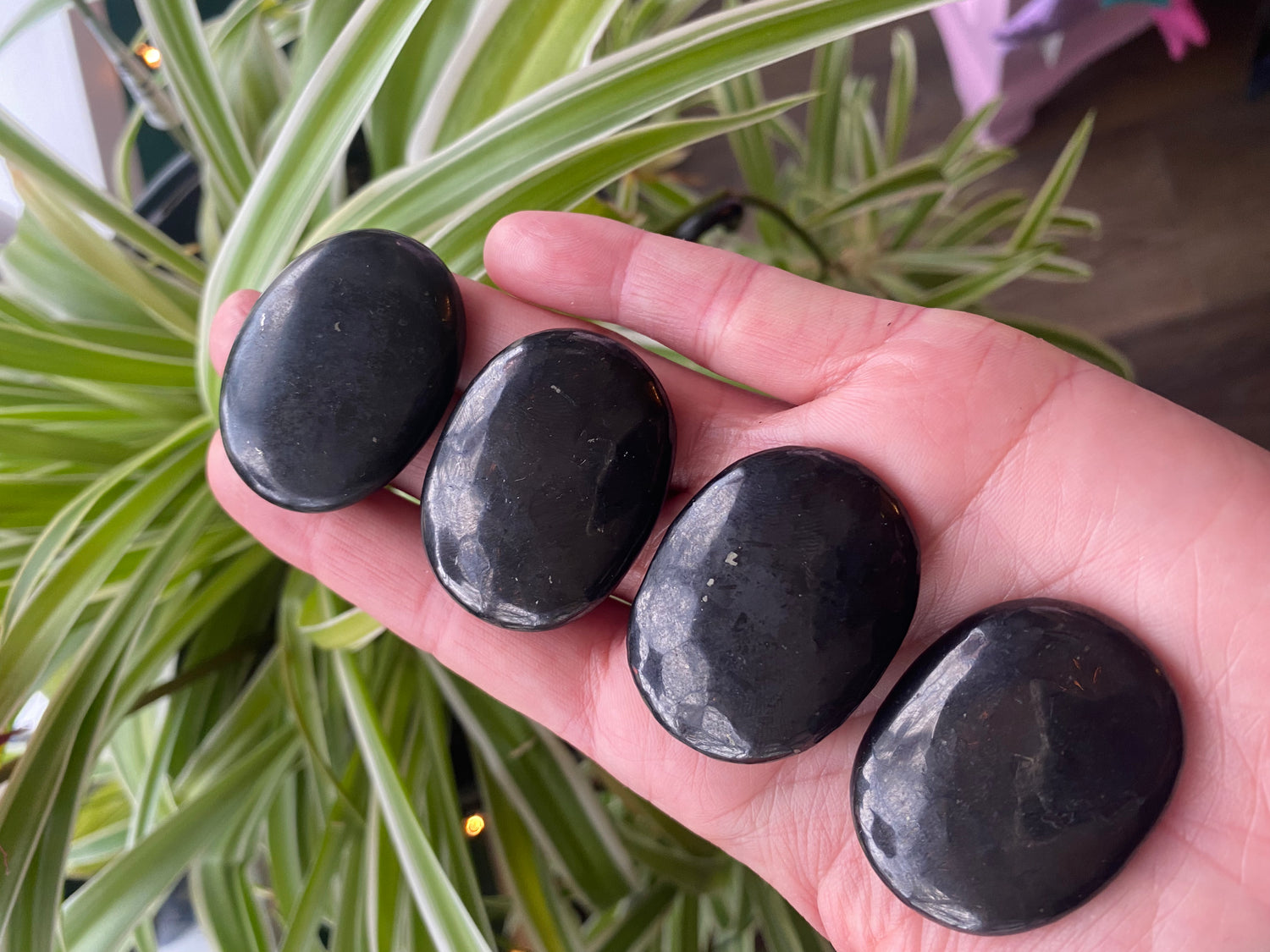 Shungite Worry Stone - Moon Room Shop and Wellness