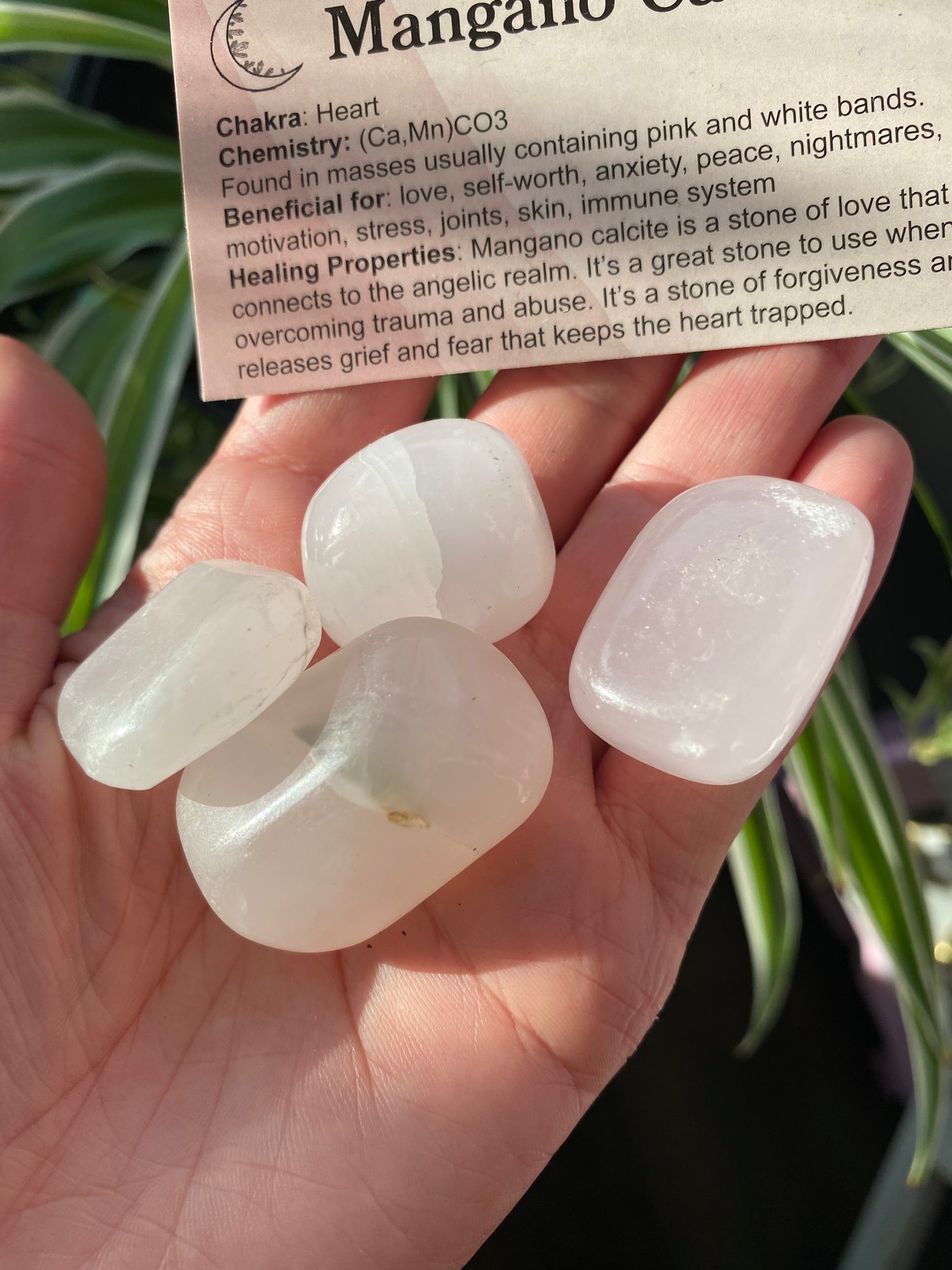Mangano Calcite Tumbled- UV Reactive! - Moon Room Shop and Wellness