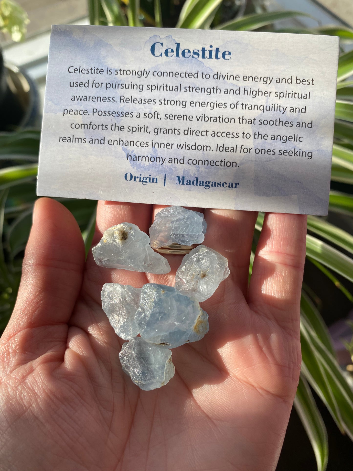 Celestite Tumbled Piece-small- - Moon Room Shop and Wellness