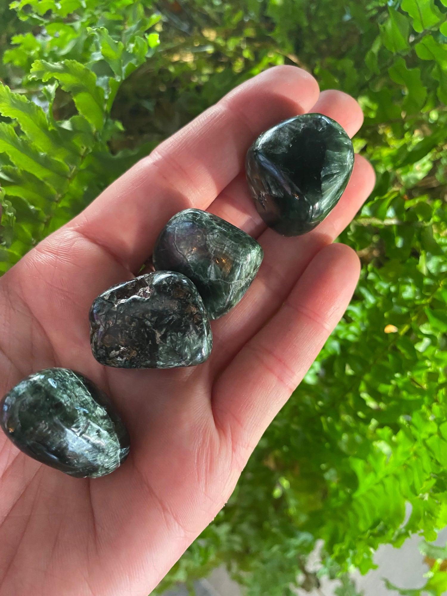 Seraphinite Tumbled- Russia - Moon Room Shop and Wellness