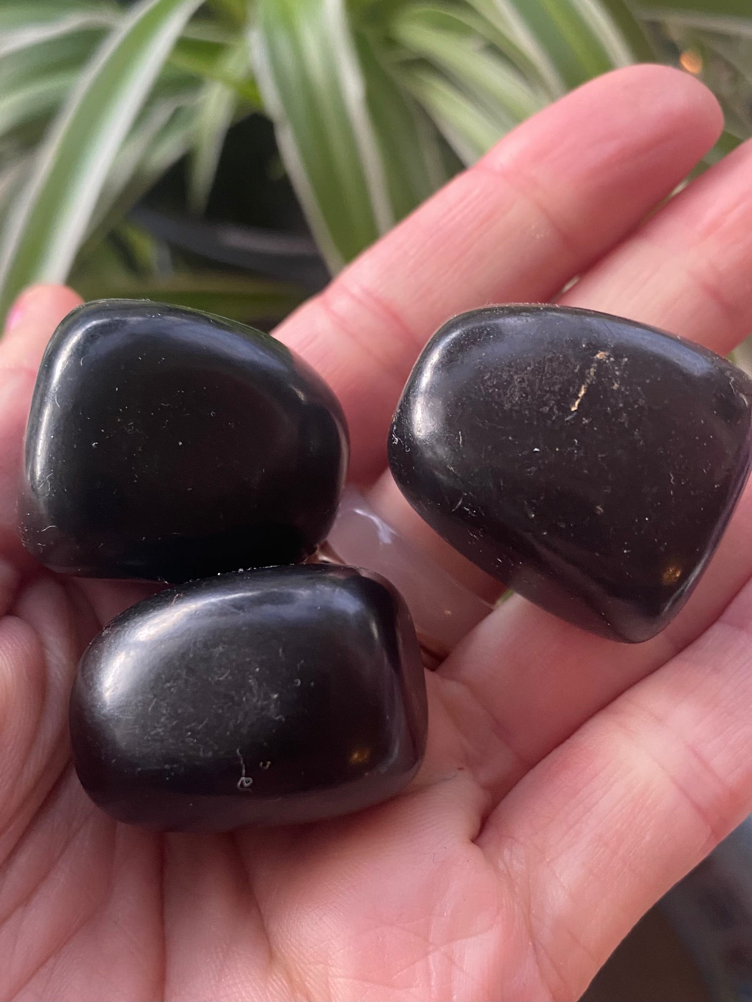 Jet Rock Tumbled - Moon Room Shop and Wellness
