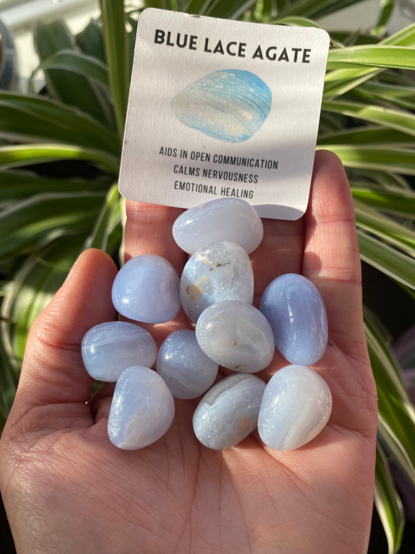 Blue Lace Agate Tumbled - Moon Room Shop and Wellness