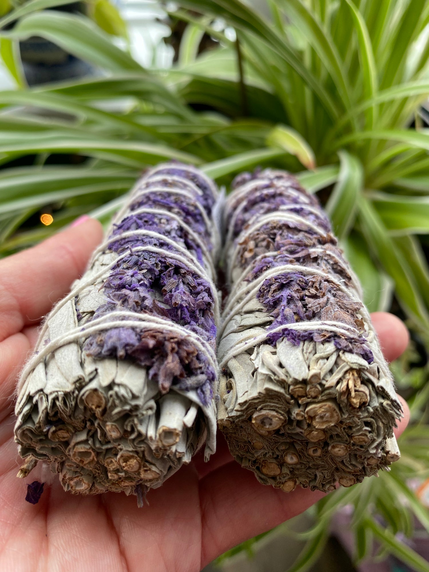 Lavender and White Sage Smudge - Moon Room Shop and Wellness