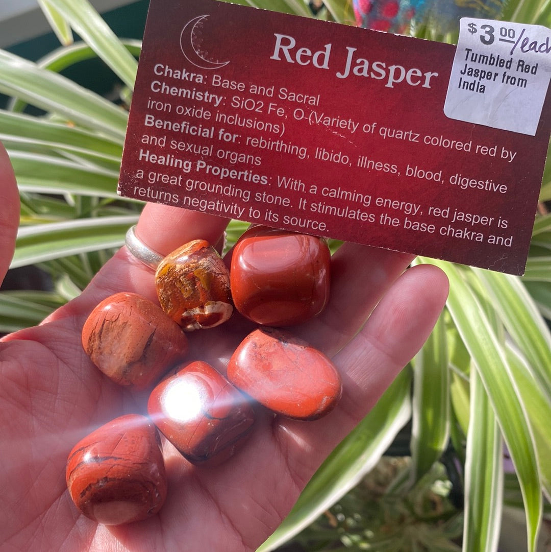 Red Jasper Tumbled - India - Moon Room Shop and Wellness