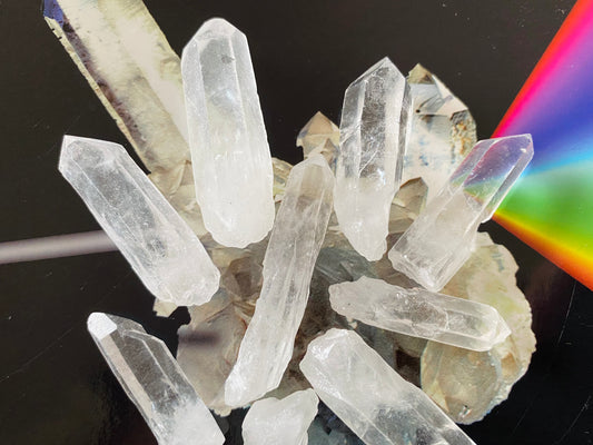 Lemurian Quartz Point - Moon Room Shop and Wellness