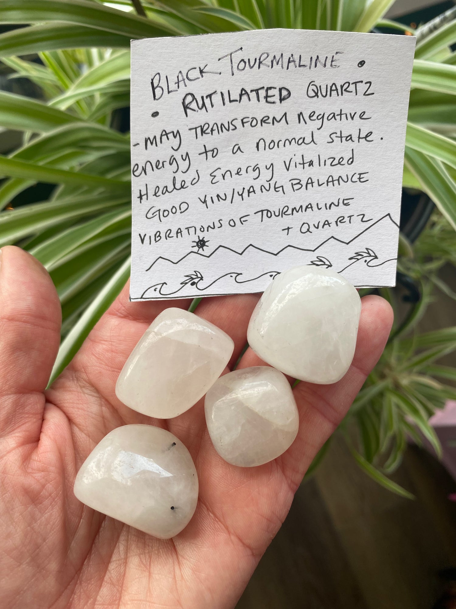 Rutilated Black Tourmaline Quartz Tumbled - Moon Room Shop and Wellness