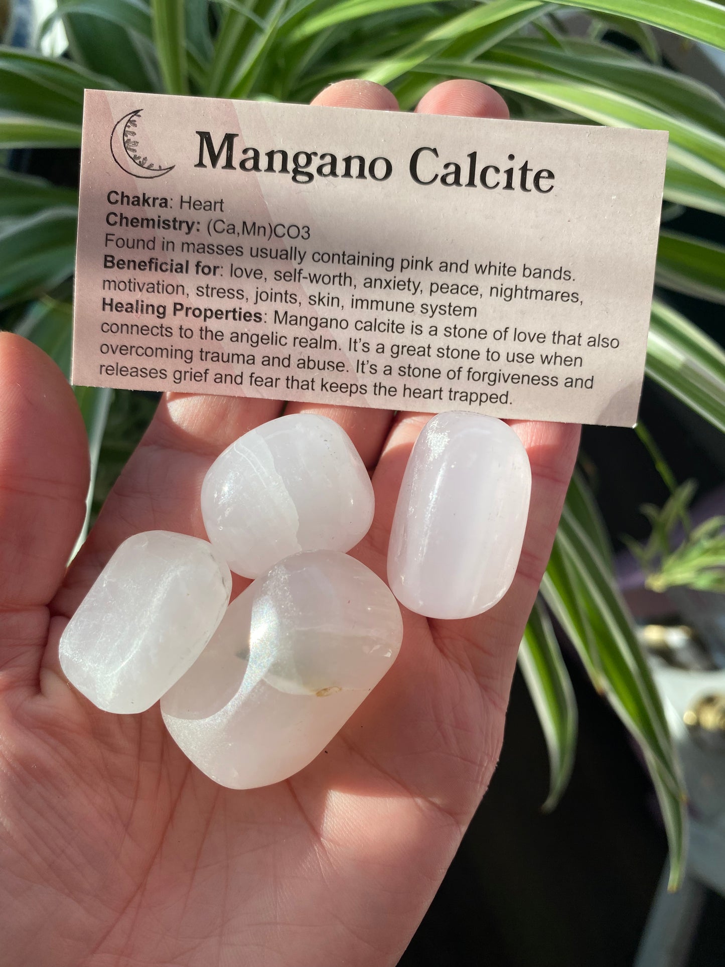 Mangano Calcite Tumbled- UV Reactive! - Moon Room Shop and Wellness