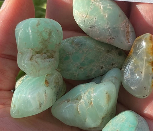Chrysoprase Tumbled - Moon Room Shop and Wellness