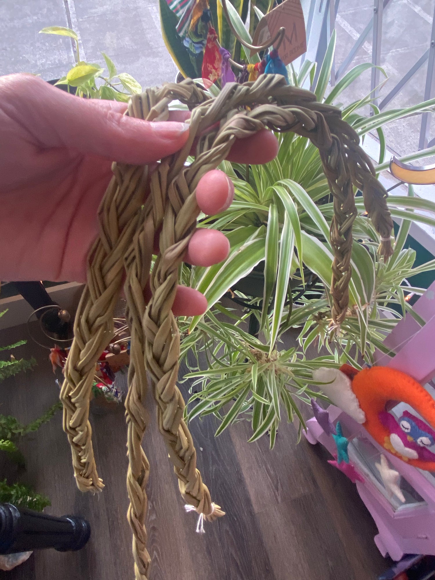 20 inch Sweetgrass Braid- Sustainable- Sun Dried - Moon Room Shop and Wellness