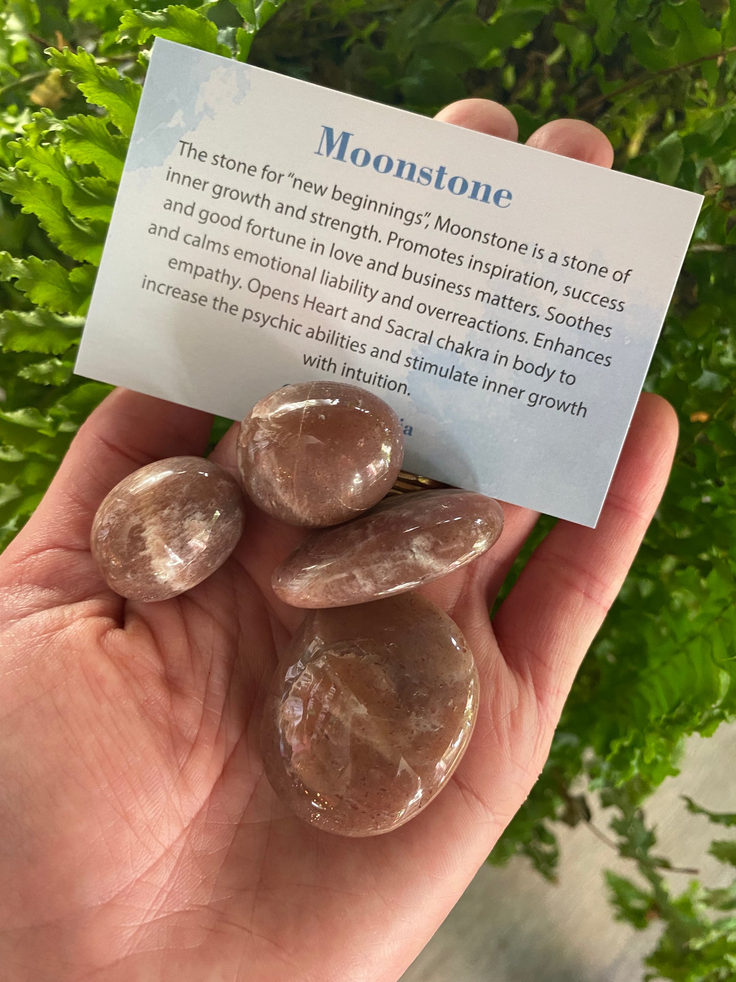 Peach Moonstone Tumbled - Moon Room Shop and Wellness
