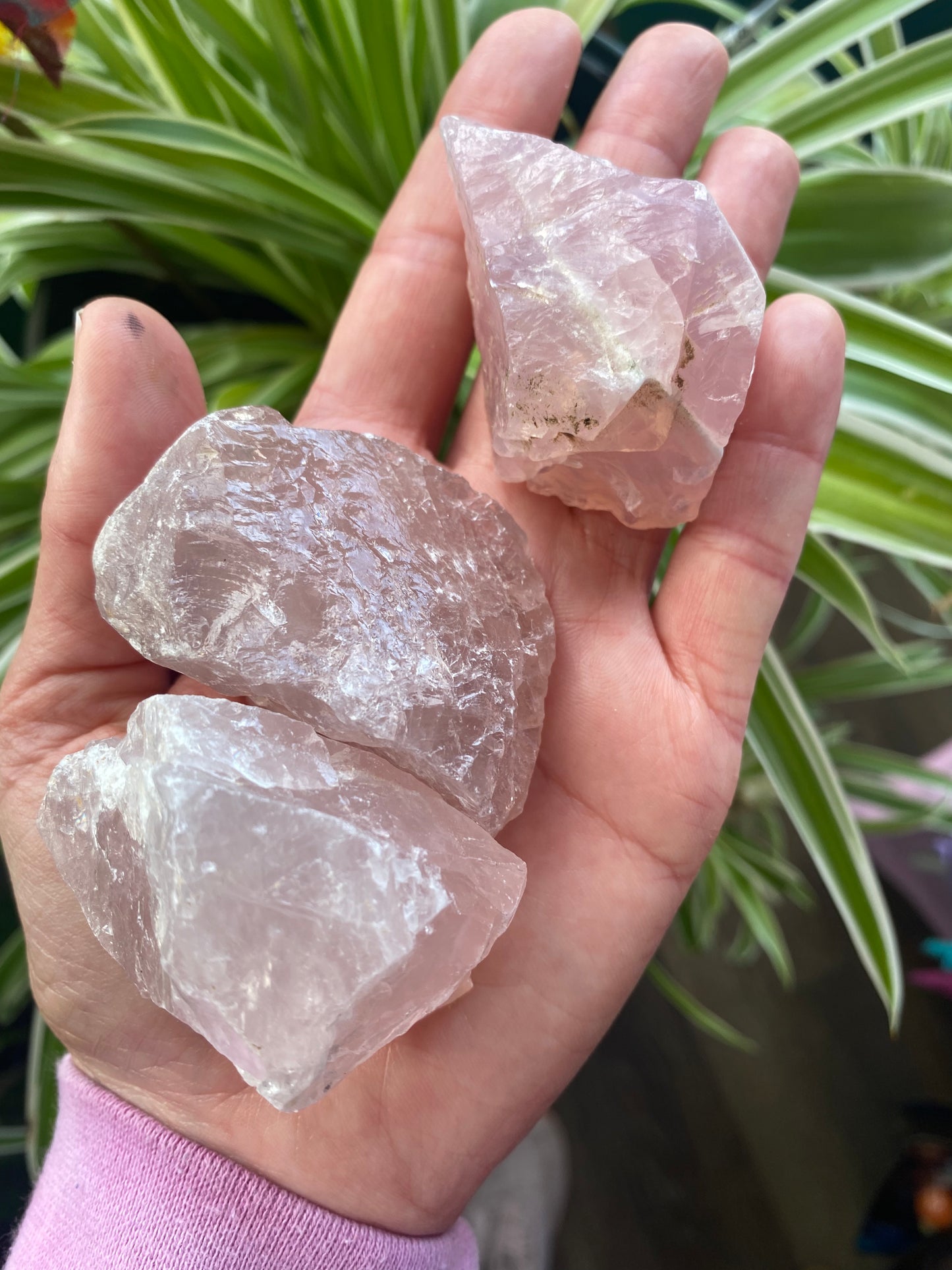 Rose Quartz Chunks Small- Ethically Sourced - Moon Room Shop and Wellness