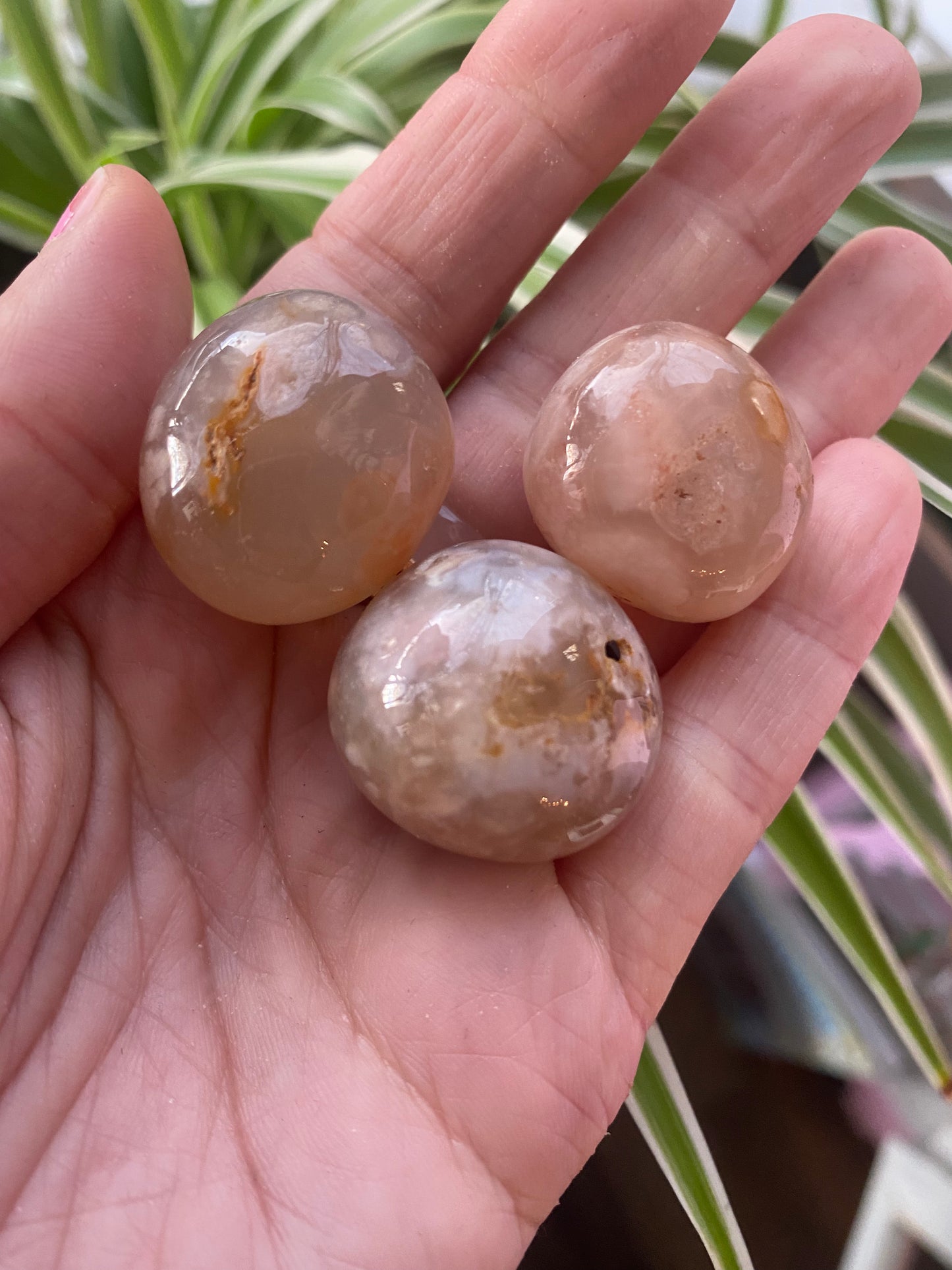 Flower Agate Tumbled Stone - Moon Room Shop and Wellness
