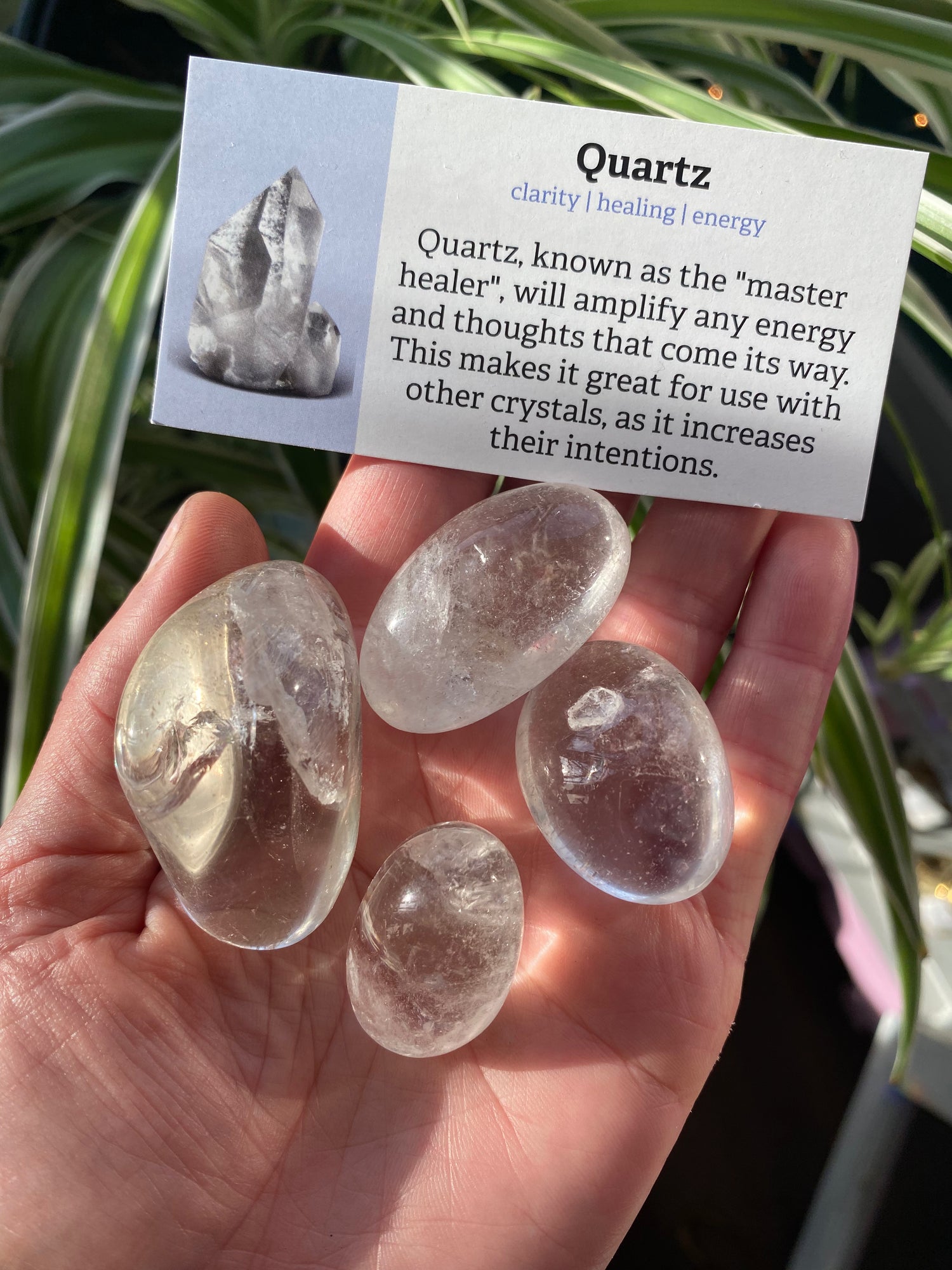 Clear Quartz Tumbled - Moon Room Shop and Wellness