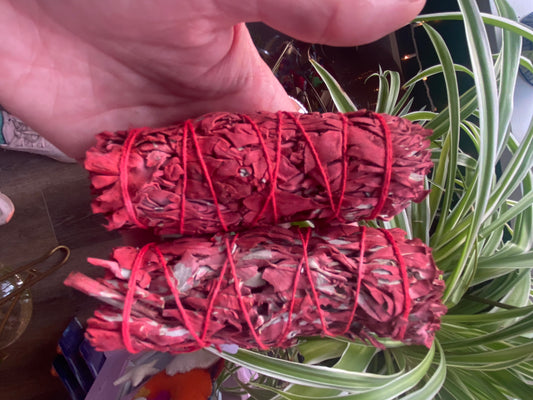 Dragons Blood White Sage Bundle - Moon Room Shop and Wellness