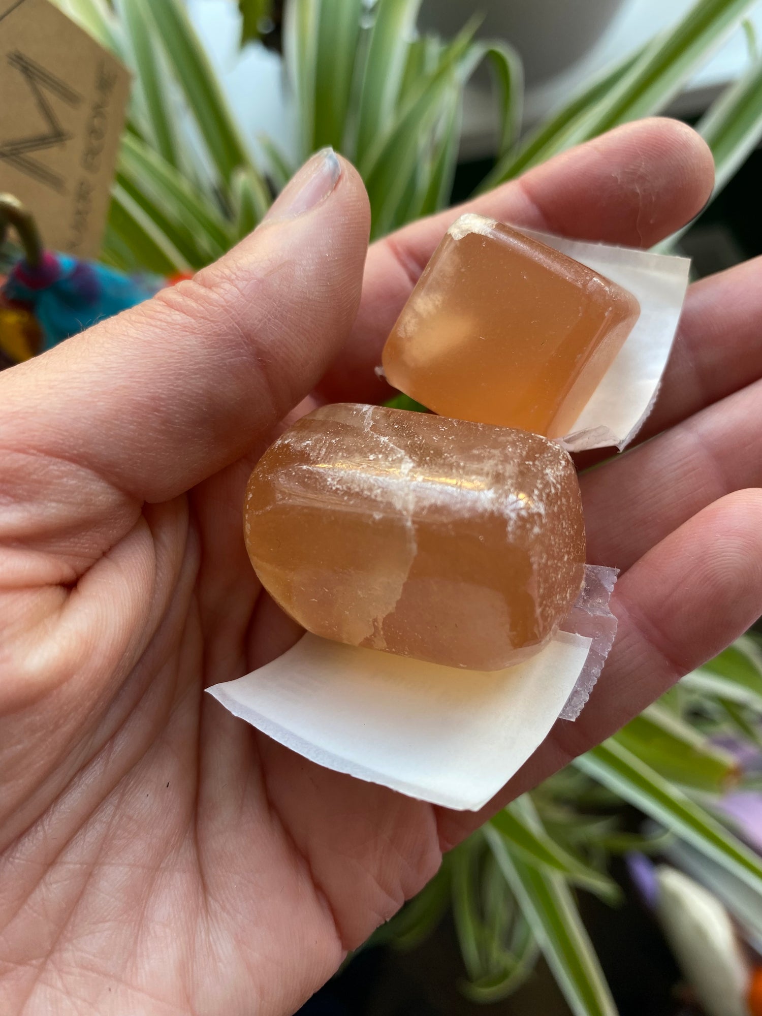 Honey Calcite Tumbled - Moon Room Shop and Wellness