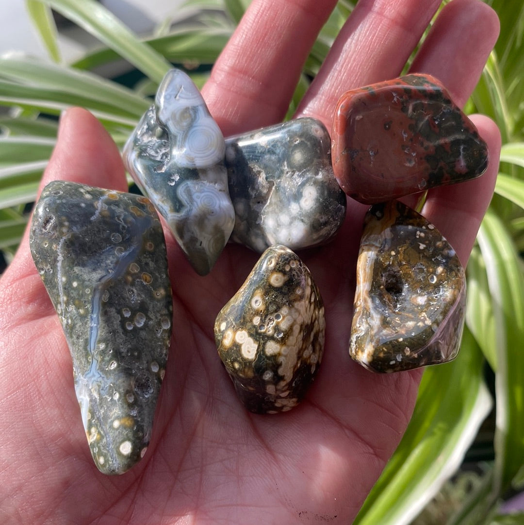 Ocean Jasper Tumbled - Ethically Sourced - Moon Room Shop and Wellness