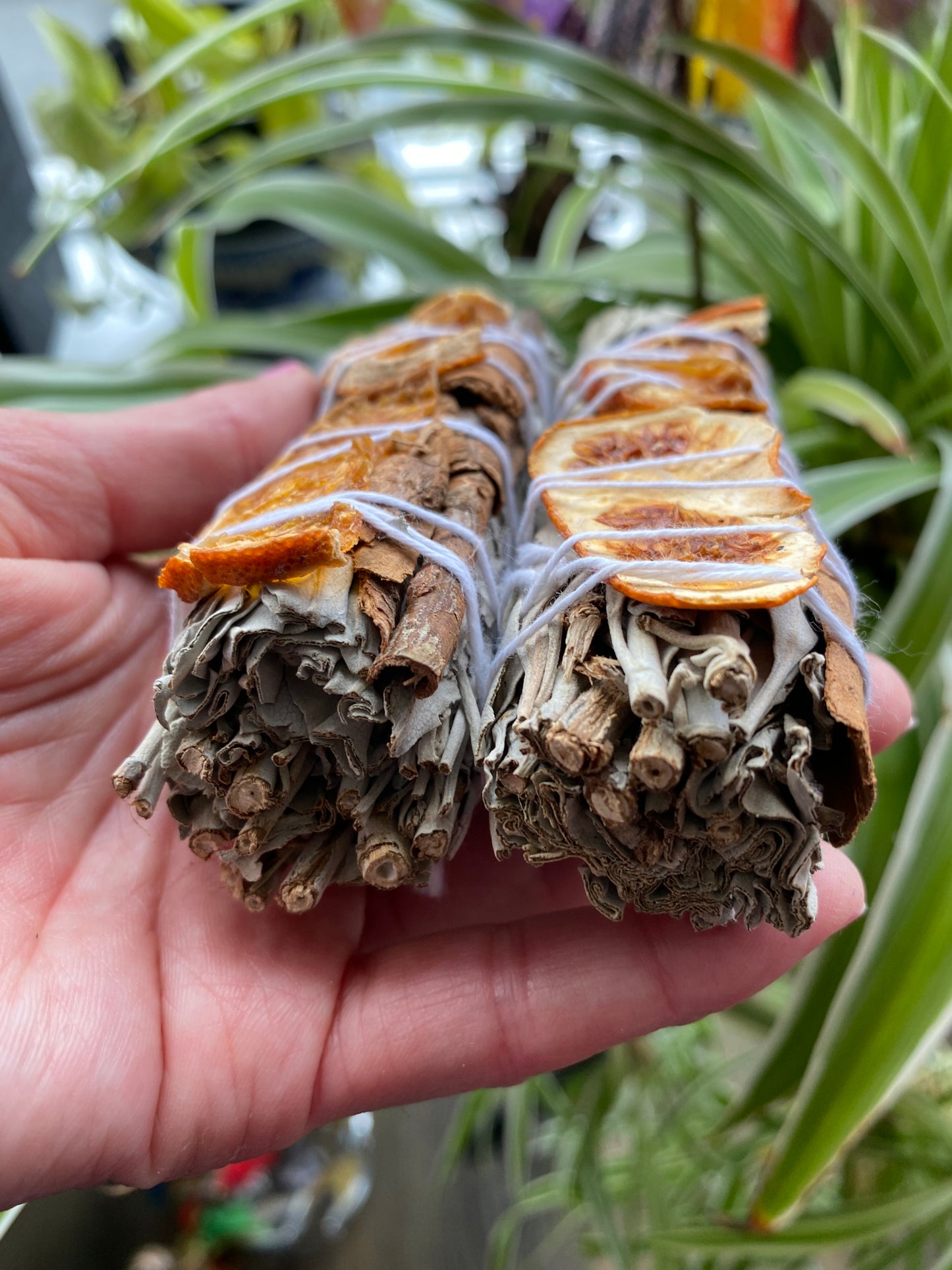 Orange/Cinnamon Sage Bundle- no pesticides-sun dried - Moon Room Shop and Wellness