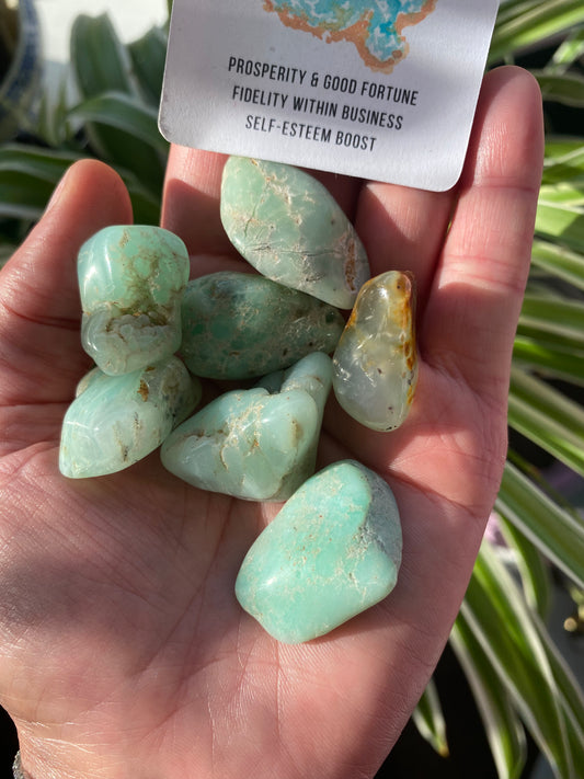 Chrysoprase Tumbled - Moon Room Shop and Wellness